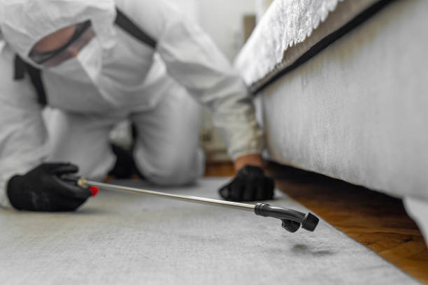 Professional Bed Bug Control technician working in Bell Gardens, CA