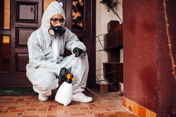 Reliable Bed Bug Control contractor in Bell Gardens, CA by Nex Pest Control